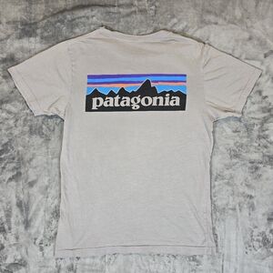 Patagonia Slim Fit Big Logo T Shirt Size Small Gray Organic Cotton
